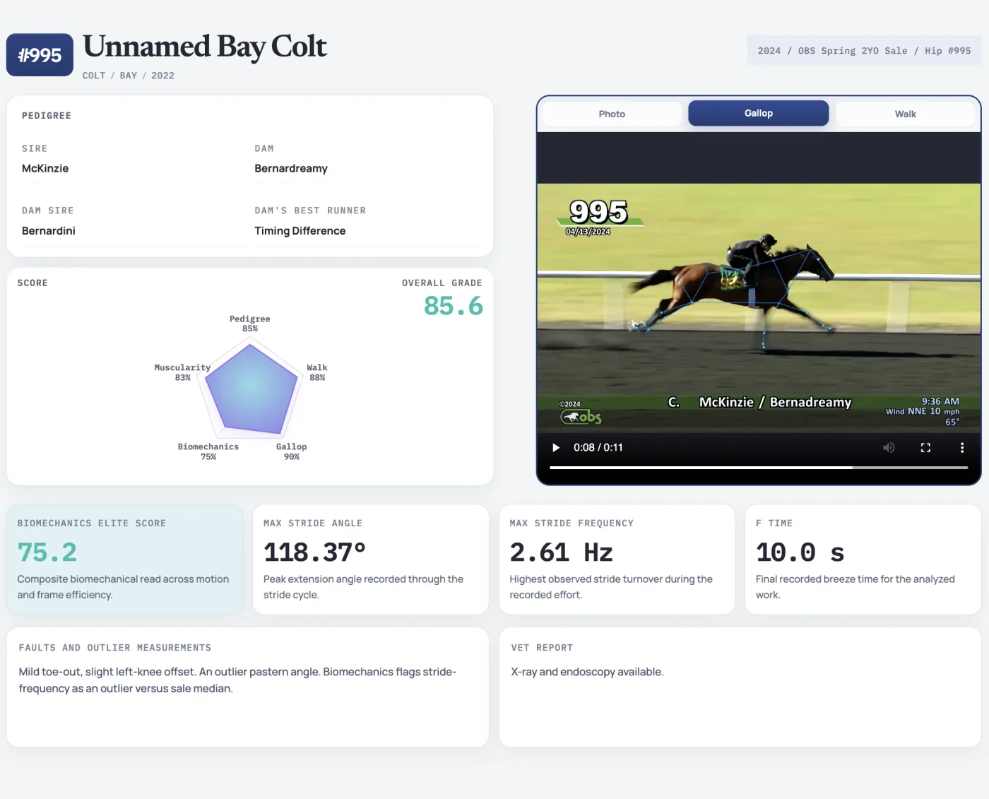 Sample horse evaluation report